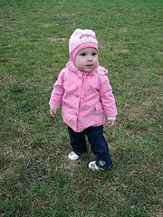 click for enlarge 480 X 640 144,4 Kb picture