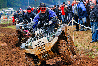 click for enlarge 1000 X 667 234,2 Kb picture