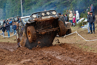 click for enlarge 1000 X 667 1018,9 Kb picture