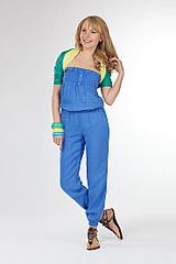 click for enlarge 370 X 555 51,9 Kb picture