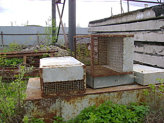 click for enlarge 640 X 480 129,1 Kb picture