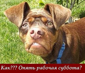 click for enlarge 640 X 549  80,2 Kb picture