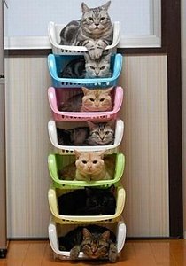 click for enlarge 500 X 713 48,9 Kb picture