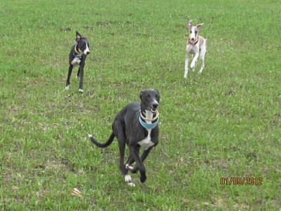 click for enlarge 807 X 605 125,8 Kb picture