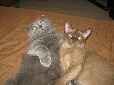 click for enlarge 800 X 600 124,9 Kb picture