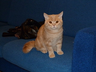 click for enlarge 1920 X 1440 656,3 Kb picture