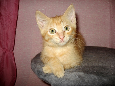 click for enlarge 1024 X 768 309,7 Kb picture