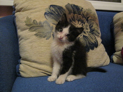 click for enlarge 1920 X 1440 632,0 Kb picture