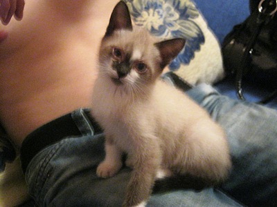 click for enlarge 1024 X 768 210,8 Kb picture