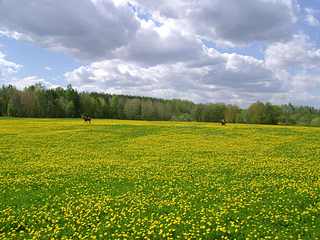 click for enlarge 1920 X 1440 303,6 Kb picture