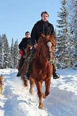 click for enlarge 682 X 1024 140,0 Kb picture