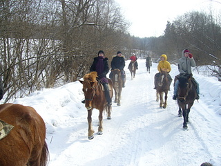 click for enlarge 1920 X 1440 1008,5 Kb picture