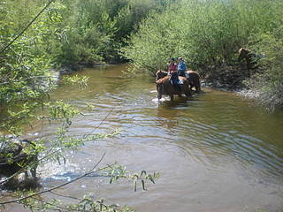 click for enlarge 1920 X 1440 480,5 Kb picture