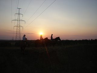 click for enlarge 1920 X 1440 446,8 Kb picture