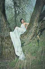 click for enlarge 797 X 1200 224,1 Kb picture