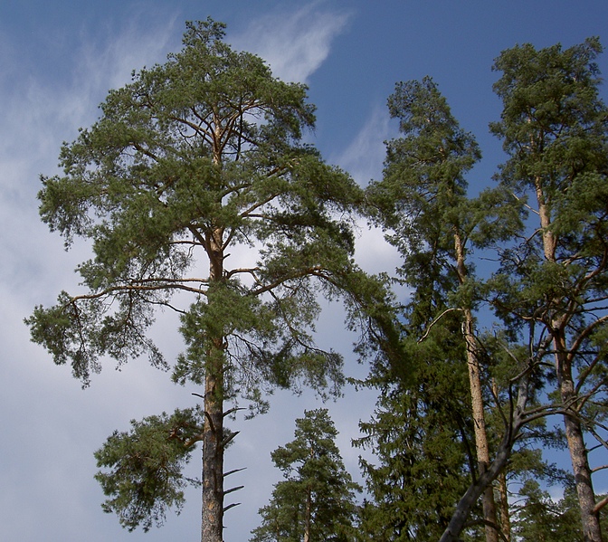 click for enlarge 1882 X 1678 365,0 Kb picture