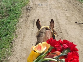 click for enlarge 1280 X 955 276,1 Kb picture