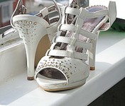 click for enlarge 1920 X 1635 504,2 Kb picture