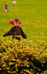 click for enlarge 283 X 448  67,8 Kb picture
