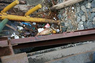 click for enlarge 1024 X 684 115,5 Kb picture