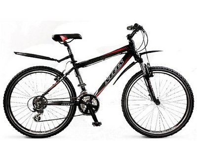 click for enlarge 500 X 357 47,5 Kb picture