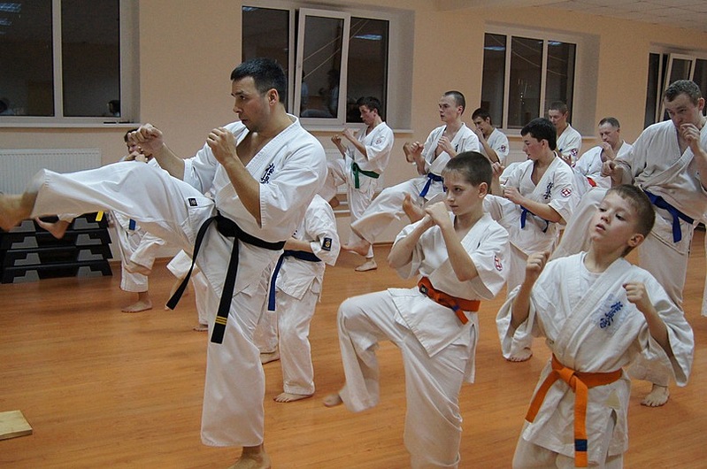 click for enlarge 807 X 535 123,7 Kb picture