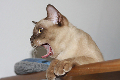 click for enlarge 972 X 648 372,3 Kb picture