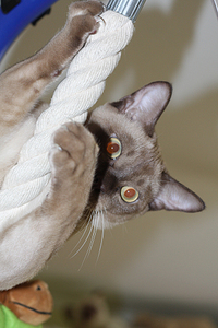 click for enlarge 648 X 972 459,1 Kb picture