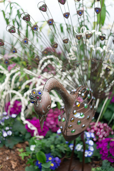 click for enlarge 532 X 800 226,0 Kb picture