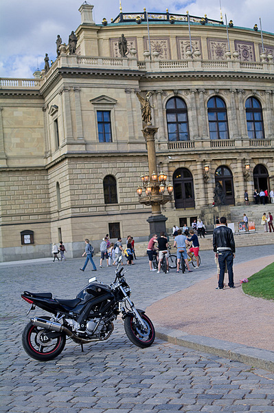 click for enlarge 532 X 800 261,8 Kb picture