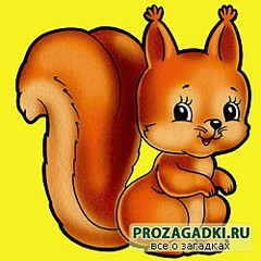 click for enlarge 250 X 250  21,3 Kb picture