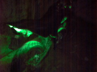 click for enlarge 1920 X 1440 256,0 Kb picture