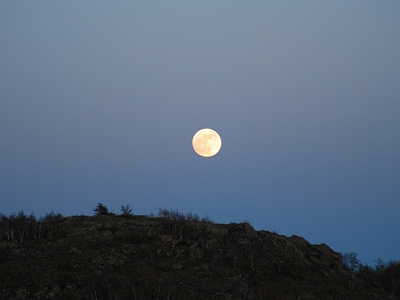 click for enlarge 1500 X 1125 553,2 Kb picture
