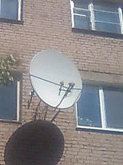 click for enlarge 240 X 320  13,2 Kb picture