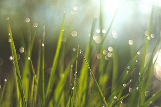click for enlarge 1024 X 680 151,4 Kb picture