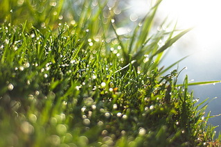 click for enlarge 1024 X 680 250,8 Kb picture