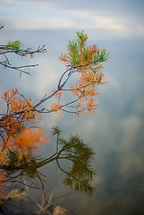 click for enlarge 533 X 800 403,7 Kb picture