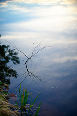 click for enlarge 533 X 800 331,2 Kb picture