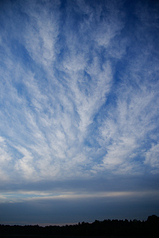 click for enlarge 533 X 800 313,4 Kb picture