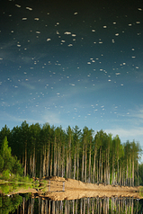 click for enlarge 533 X 800 467,6 Kb picture