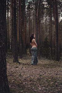 click for enlarge 1296 X 1936 737,0 Kb picture