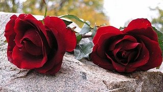click for enlarge 600 X 340  55,9 Kb picture