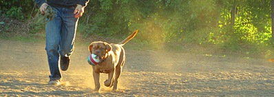 click for enlarge 1920 X 680 404,6 Kb picture