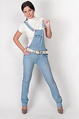 click for enlarge 332 X 500 33,8 Kb picture