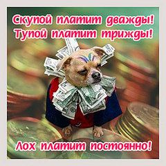 click for enlarge 360 X 360  42,9 Kb picture