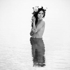 click for enlarge 800 X 800 155,1 Kb picture