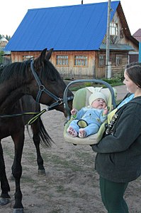 click for enlarge 402 X 604 58,0 Kb picture