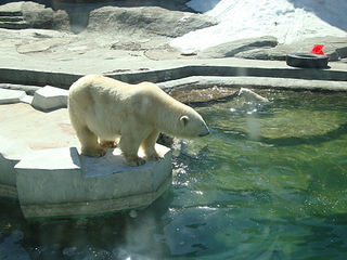 click for enlarge 1920 X 1440 257,3 Kb picture