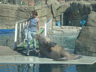 click for enlarge 1920 X 1440 994,9 Kb picture