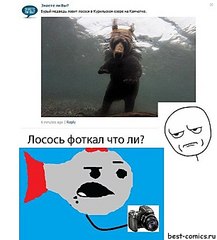 click for enlarge 612 X 676  60,2 Kb picture